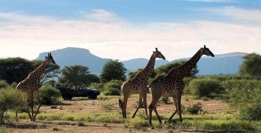 Hotel Marataba Safari Co Marakele National Park Exterior foto